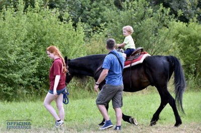 I nostri amici animali